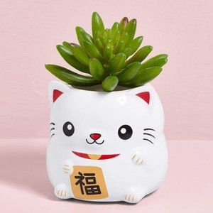 LUCKY NIKO CAT PLANTER